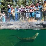 High Desert Museum