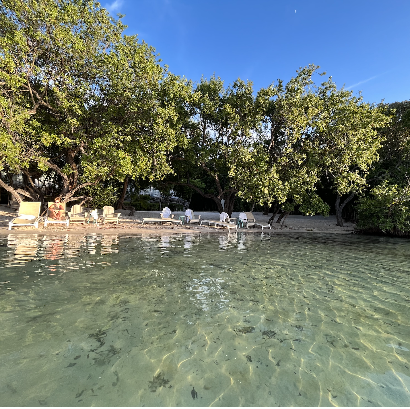 Private beach set up - Hammock Wing