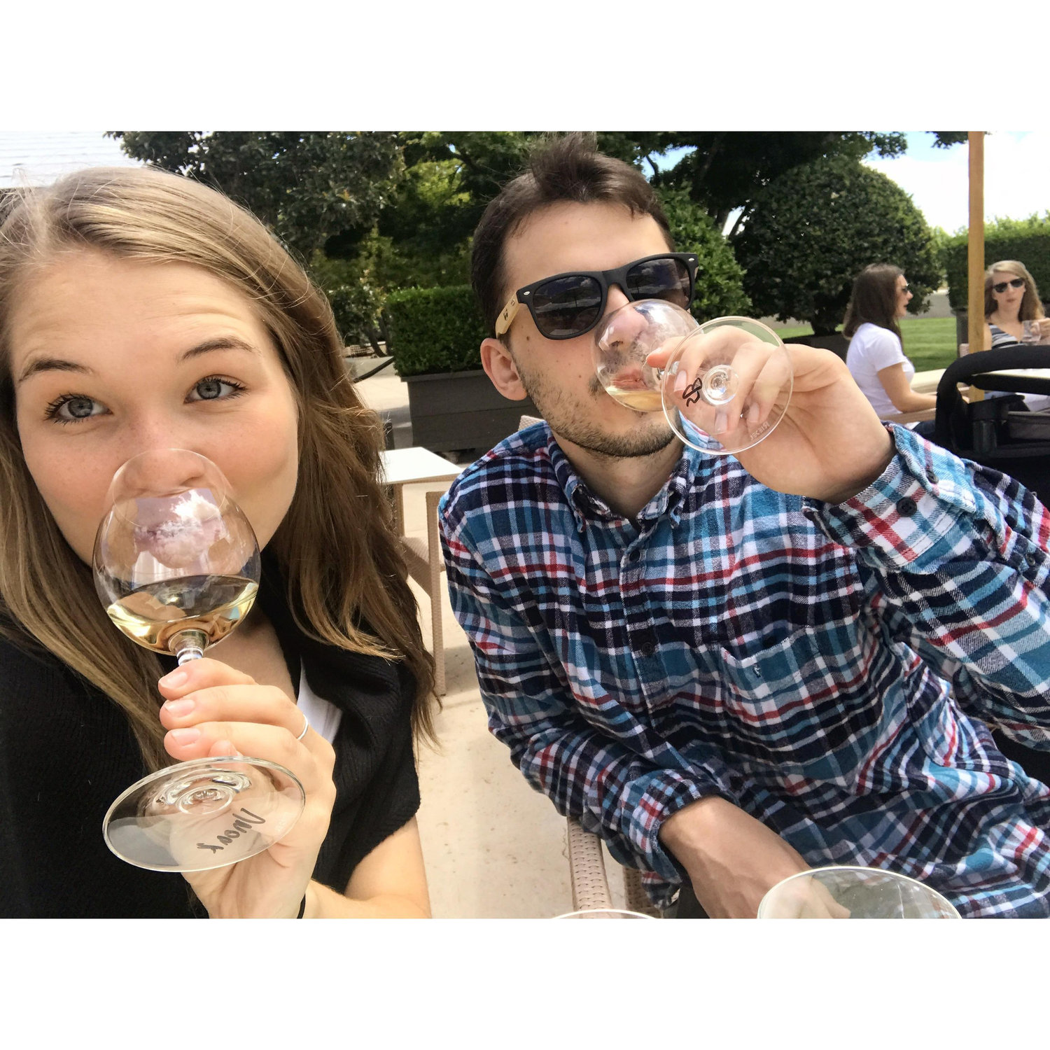 Wine tasting in Napa