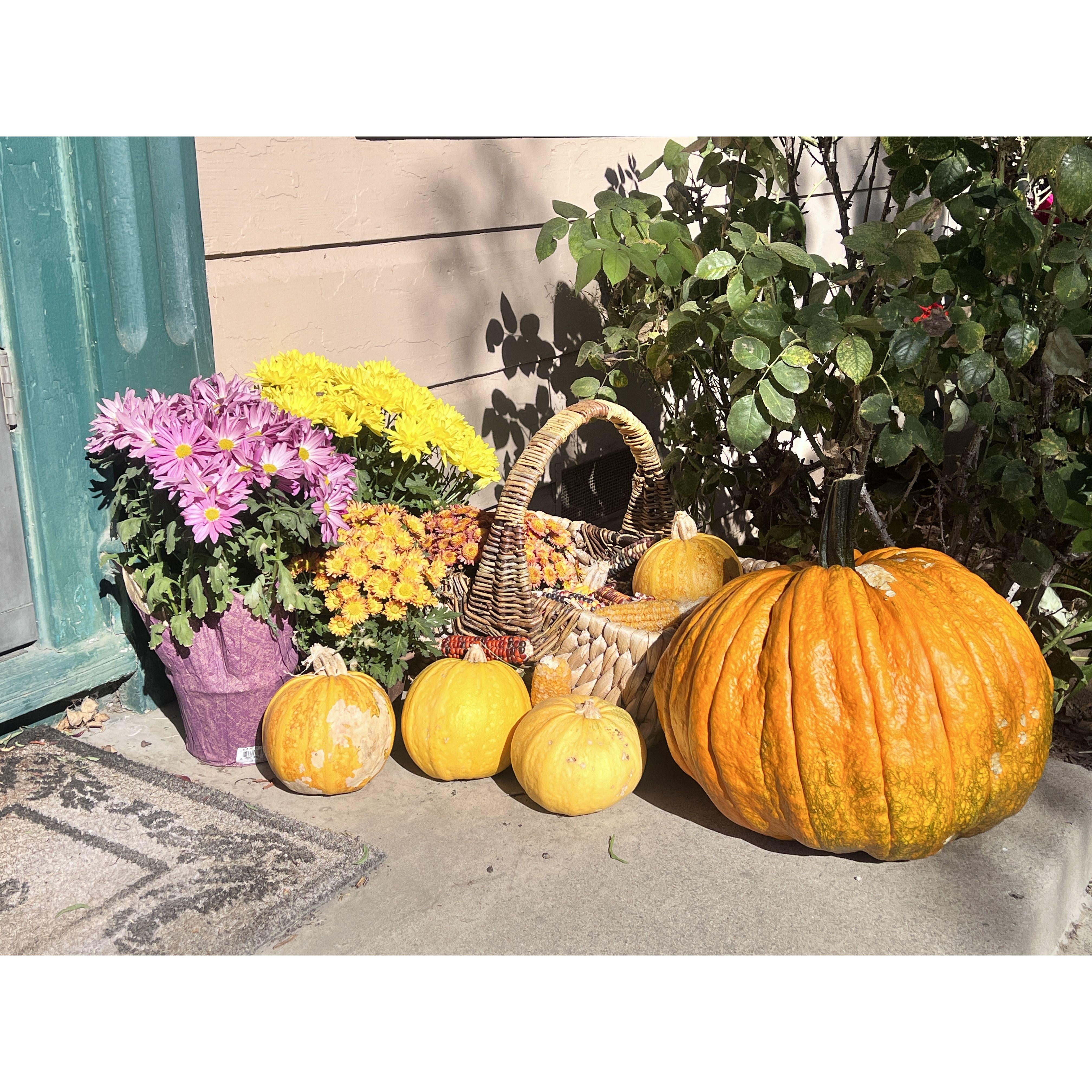That pumpkin lasted a whole year! We (Jon) grew it!