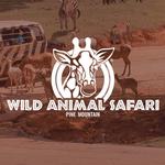 Wild Animal Safari - Pine Mountain, Georgia