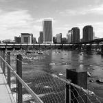 T Tyler Potterfield Memorial Bridge