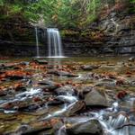 Christman Bird and Wildlife Sanctuary