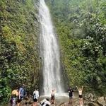 Mānoa Falls Trail