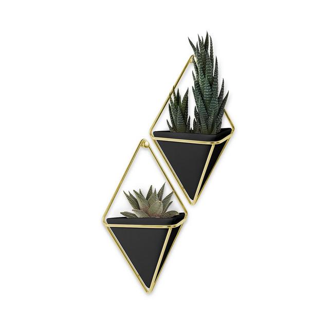 Umbra Trigg Wall Display Small - Set of 2