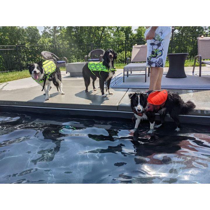 Taking the pack for a swim