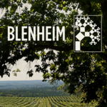 Blenheim Vineyards