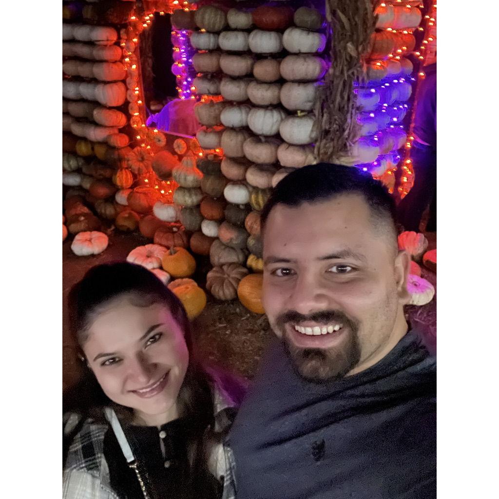 First Pumpkin Patch