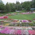 CSU Annual Flower Trial Gardens