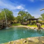 Fort Worth Zoo