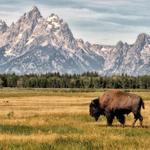 Grand Teton National Park