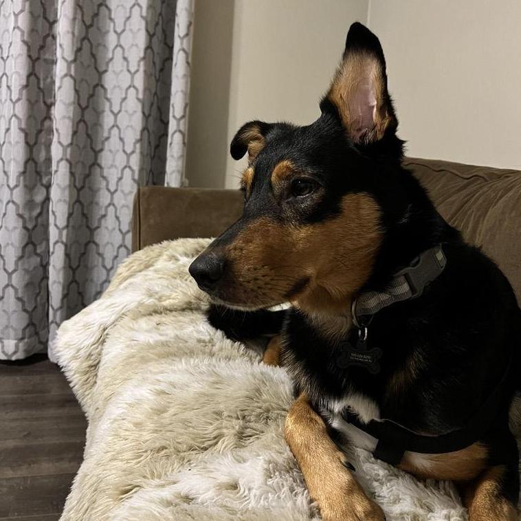 Our newest addition.