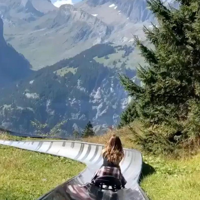Toboggan and zip line in Switzerland