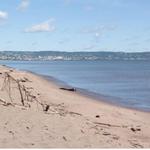 Park Point