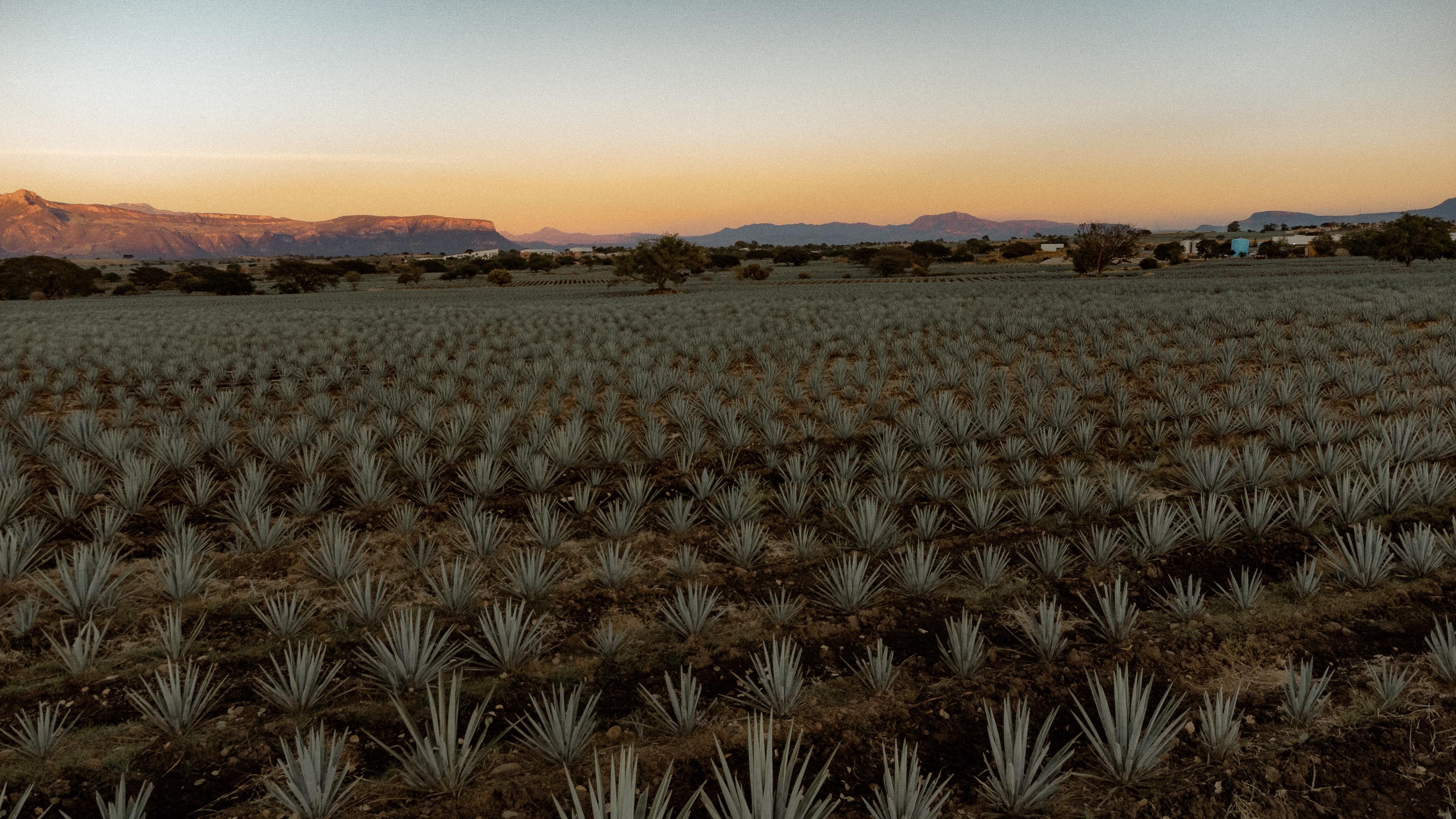 The Wedding Website of Isela Castro and Ivan Villalobos