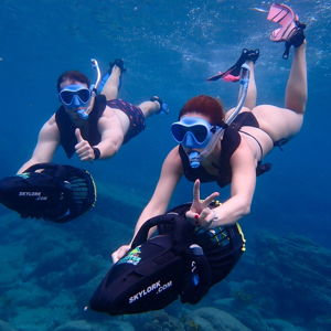 Sea Turtle Snorkeling Adventure Fund