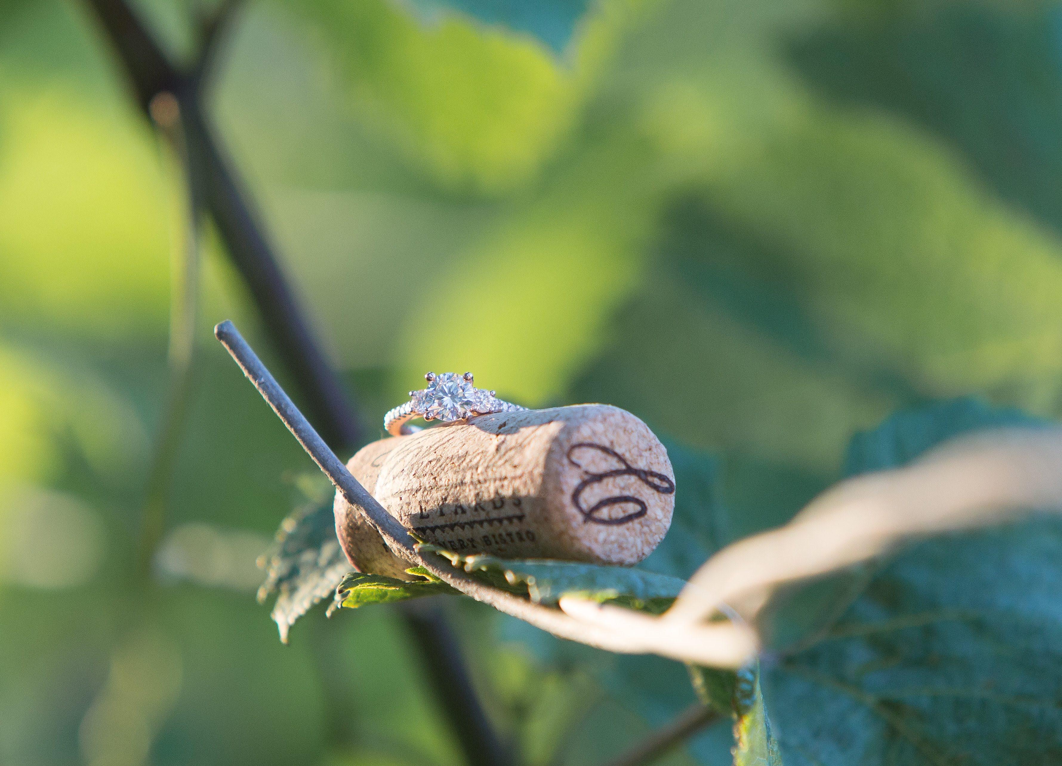 The Wedding Website of Mariana Dombrowski and Ryan Dombrowski