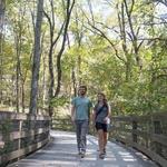 Saunders-Monticello Trail