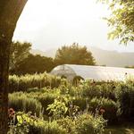 The French Laundry
