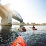 Kayak/Paddle Board on the Tennessee River