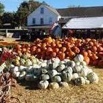 Lull Farm
