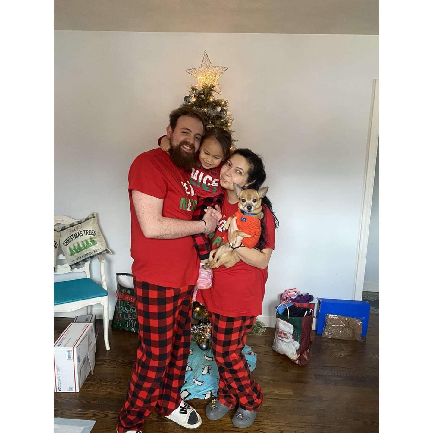 Our first Christmas in our New Home