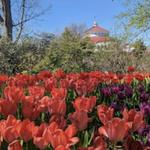Cincinnati Zoo & Botanical Garden