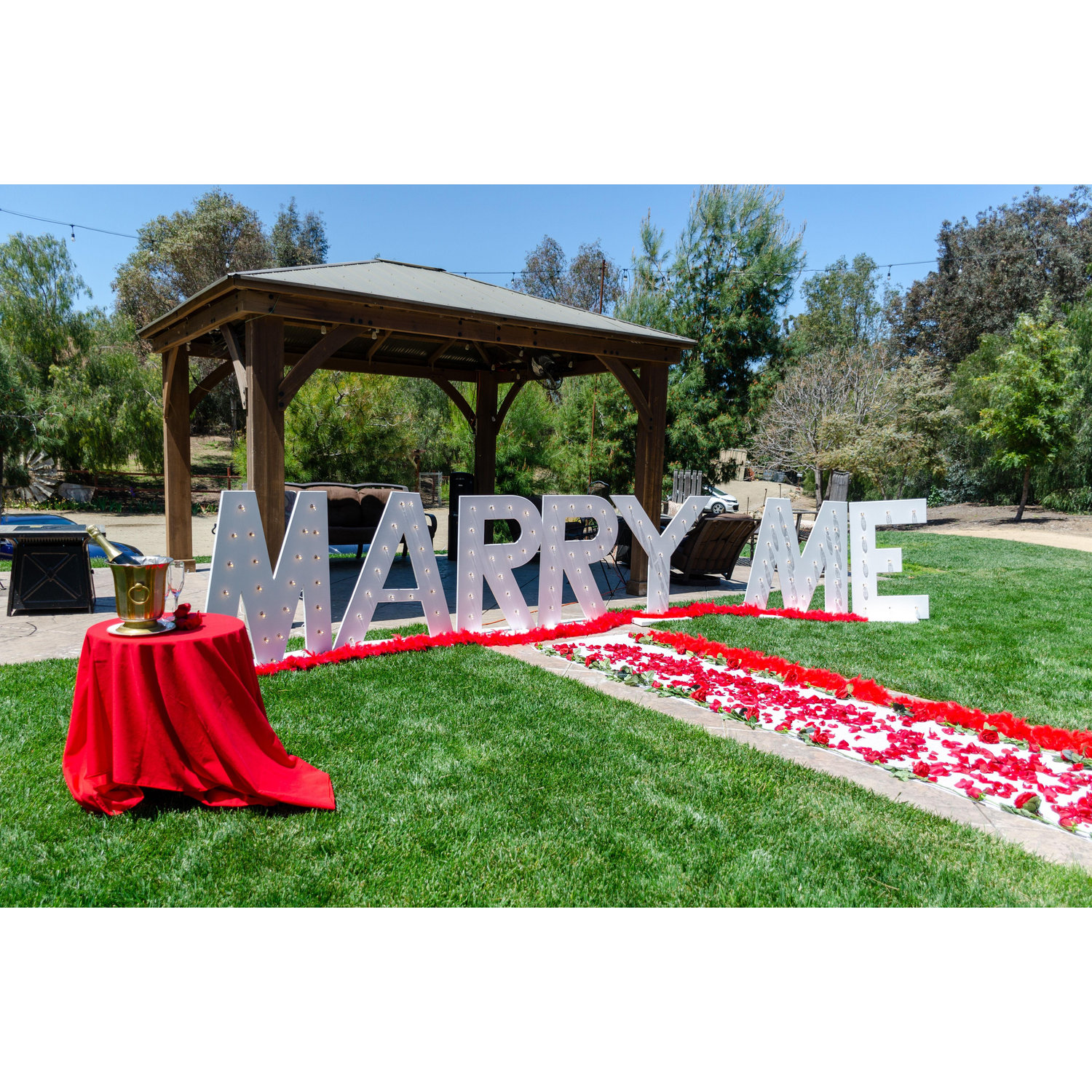 Proposal Sign