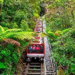 Scenic World