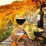 Casa Cornacchi Wine Tasting
