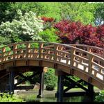 Missouri Botanical Garden
