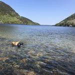 Long Pond