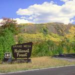 Grand Mesa Scenic Byway