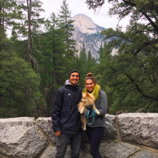 Yosemite, 2016 Thanksgiving