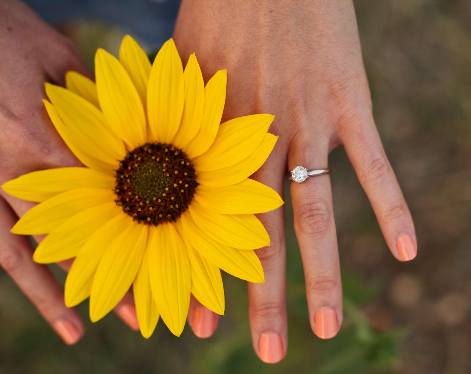 The Wedding Website of Jenna Donohoe and Aaron Thibeault