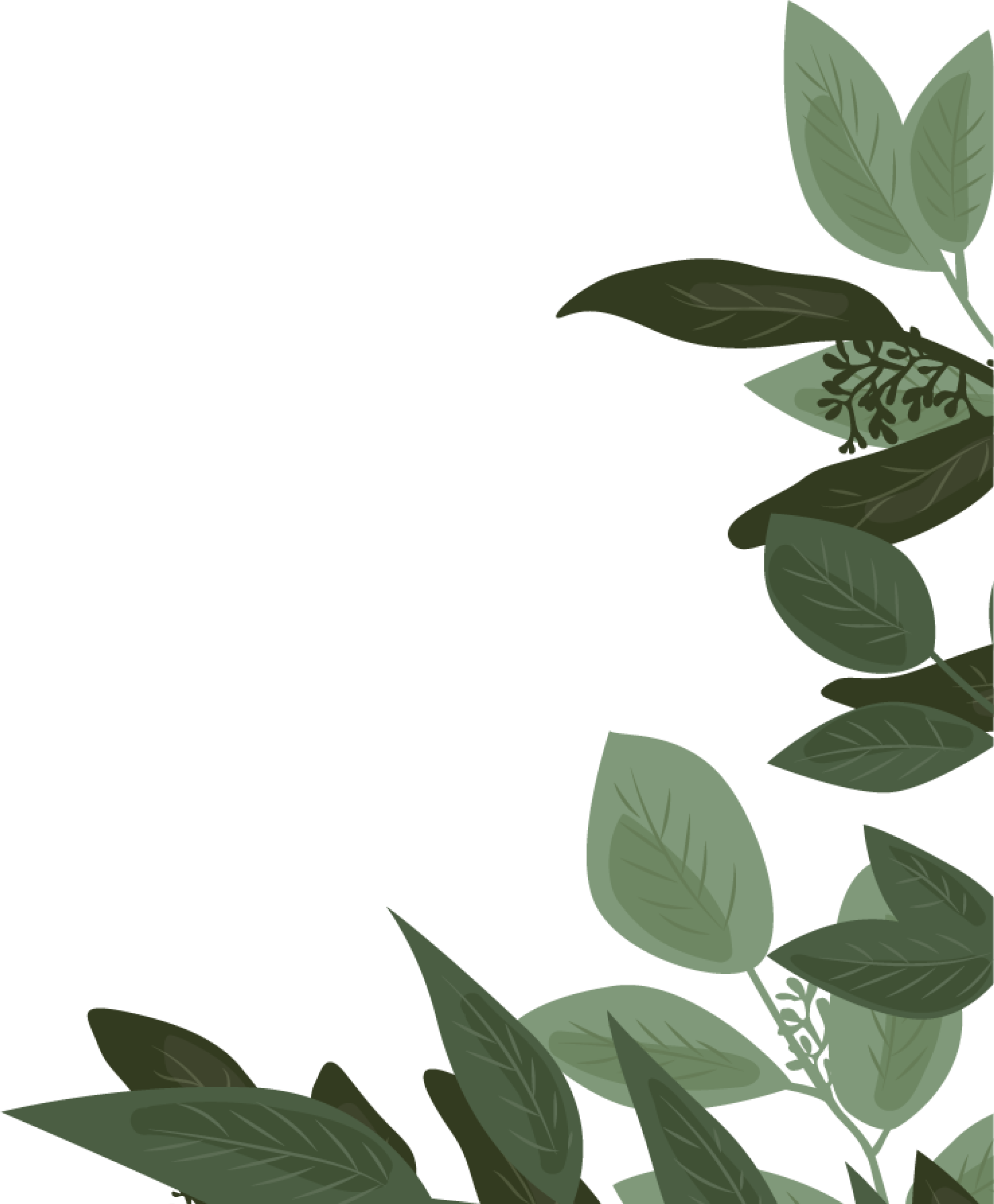 leaves