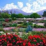 Rose Haven Heritage Garden