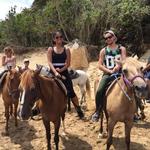 Tropical Trail Rides