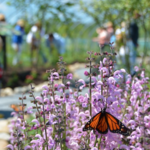 Coastal Maine Botanical Gardens