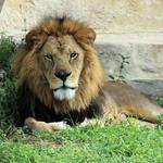 San Antonio Zoo
