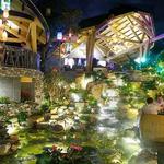 Cafe San Vuon Mien Thao Moc