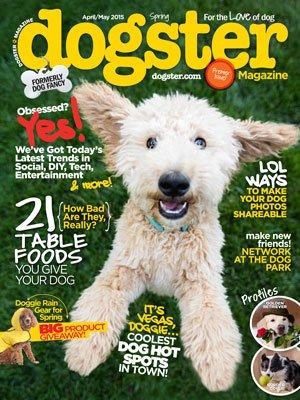 Dogster