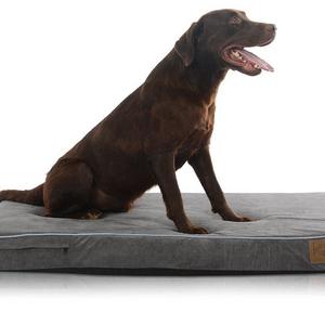 LaiFug Orthopedic Memory Foam Pet/Dog Bed with Durable Water Proof Liner and Removable Designer Washable Cover