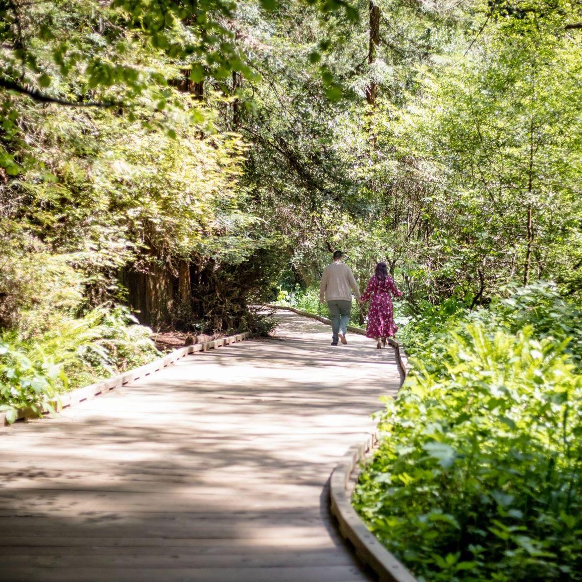 Engagement Photos - Muir Woods