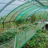 Butterfly Conservatory