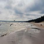 Whitefish Dunes State Park