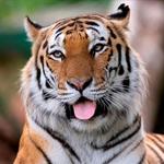Marwell zoo