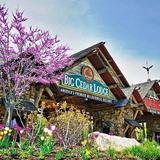 Big Cedar Lodge