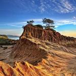Torrey Pines State Reserve
