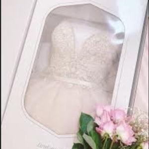 Help Preserve Lauren's Dress!